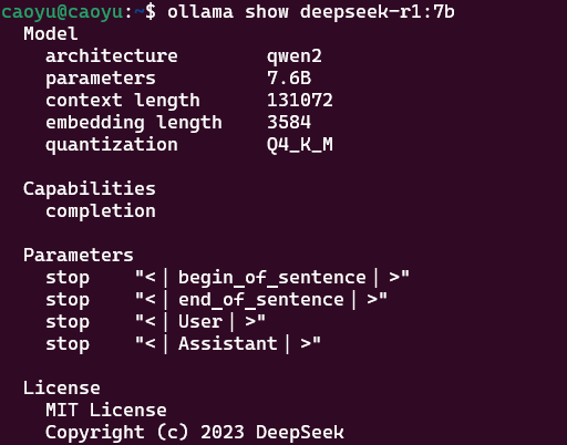 image-20250728095810102